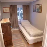 Northern Lights Escape Cozy *
