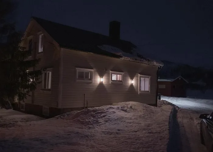 Northern Lights Escape Cozy *
