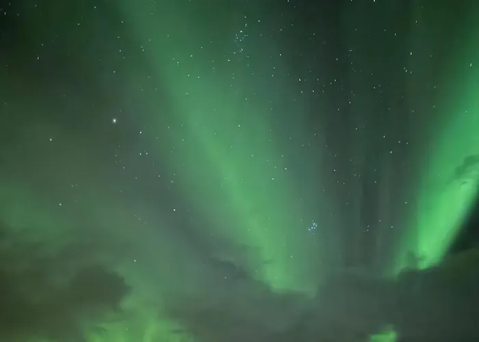Northern Lights Escape Cozy Gibostad