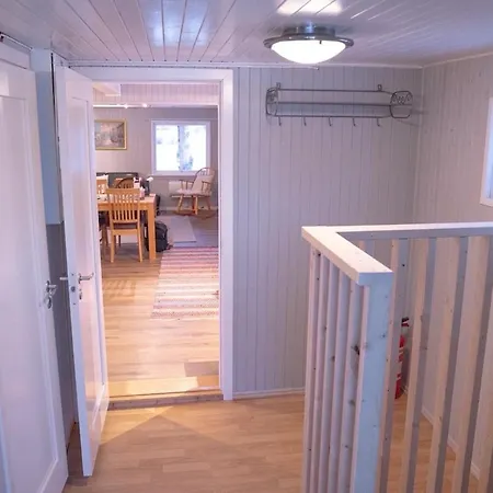 Northern Lights Escape Cozy